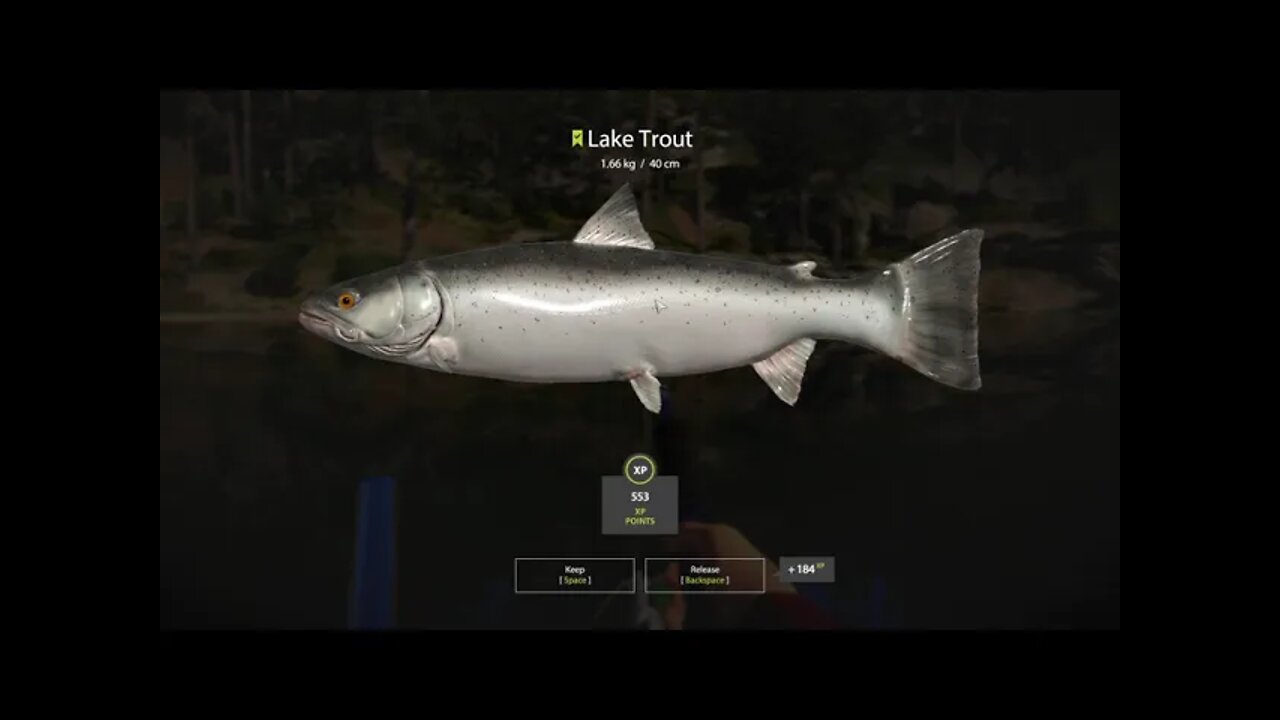 Russian Fishing 4 Kuori lake Lake Trout 1.66 Kg