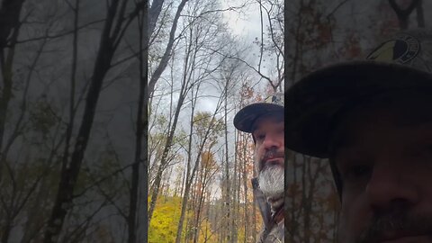 Deer hunting #bowhunting #beard #archery #wind #outdoors