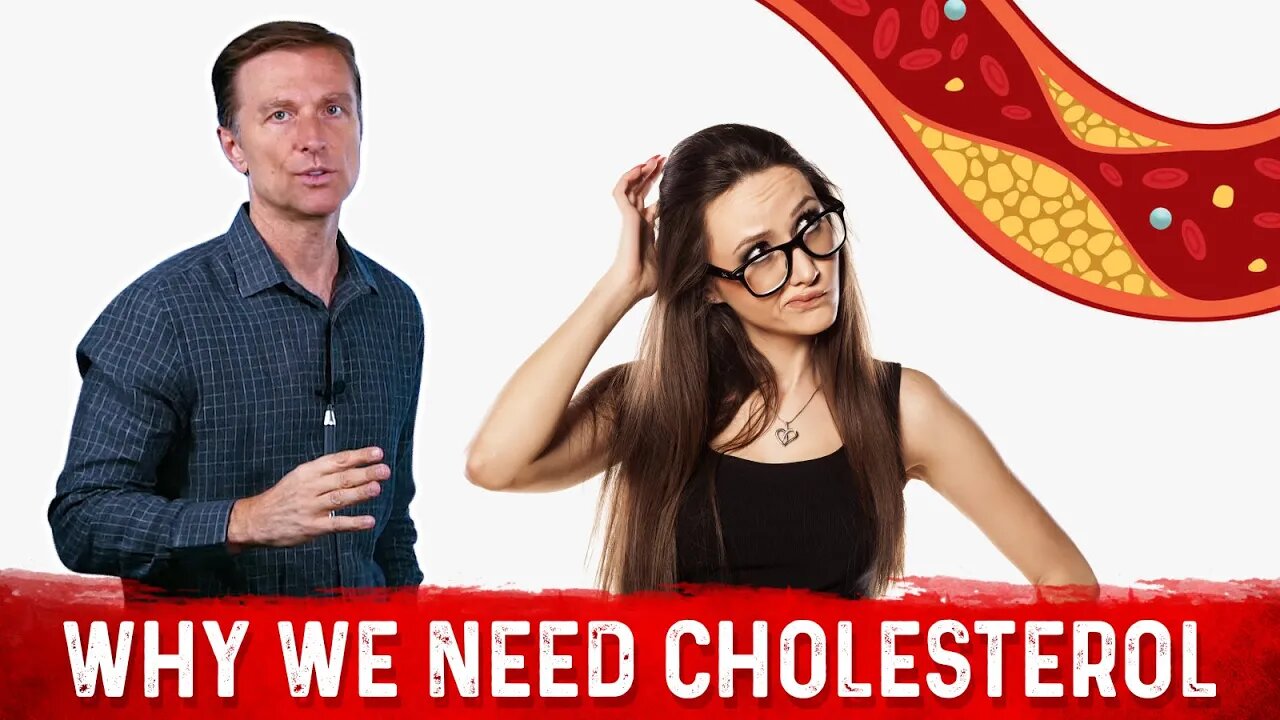 Why Cholesterol is so Biologically Important – Cholesterol Function – Dr.Berg