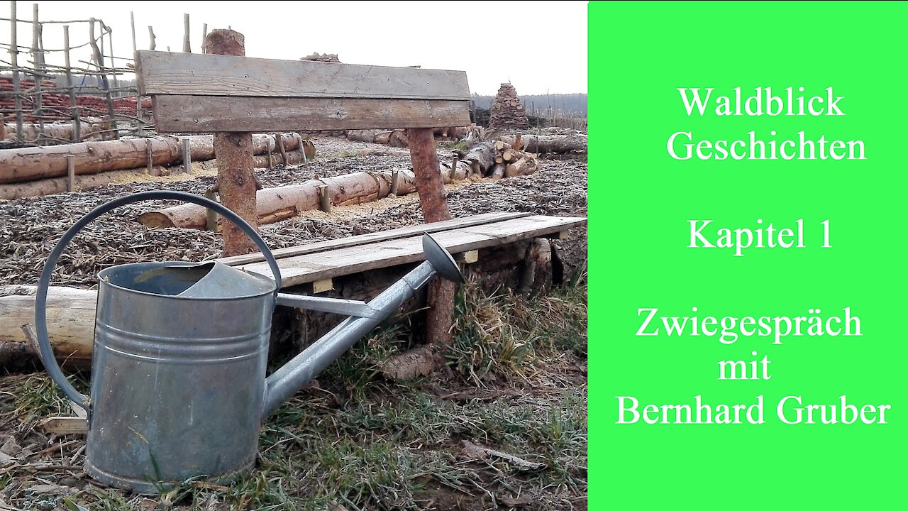 Waldblick Geschichten Kapitel 1 / Zwiegespräch mit Bernhard Gruber