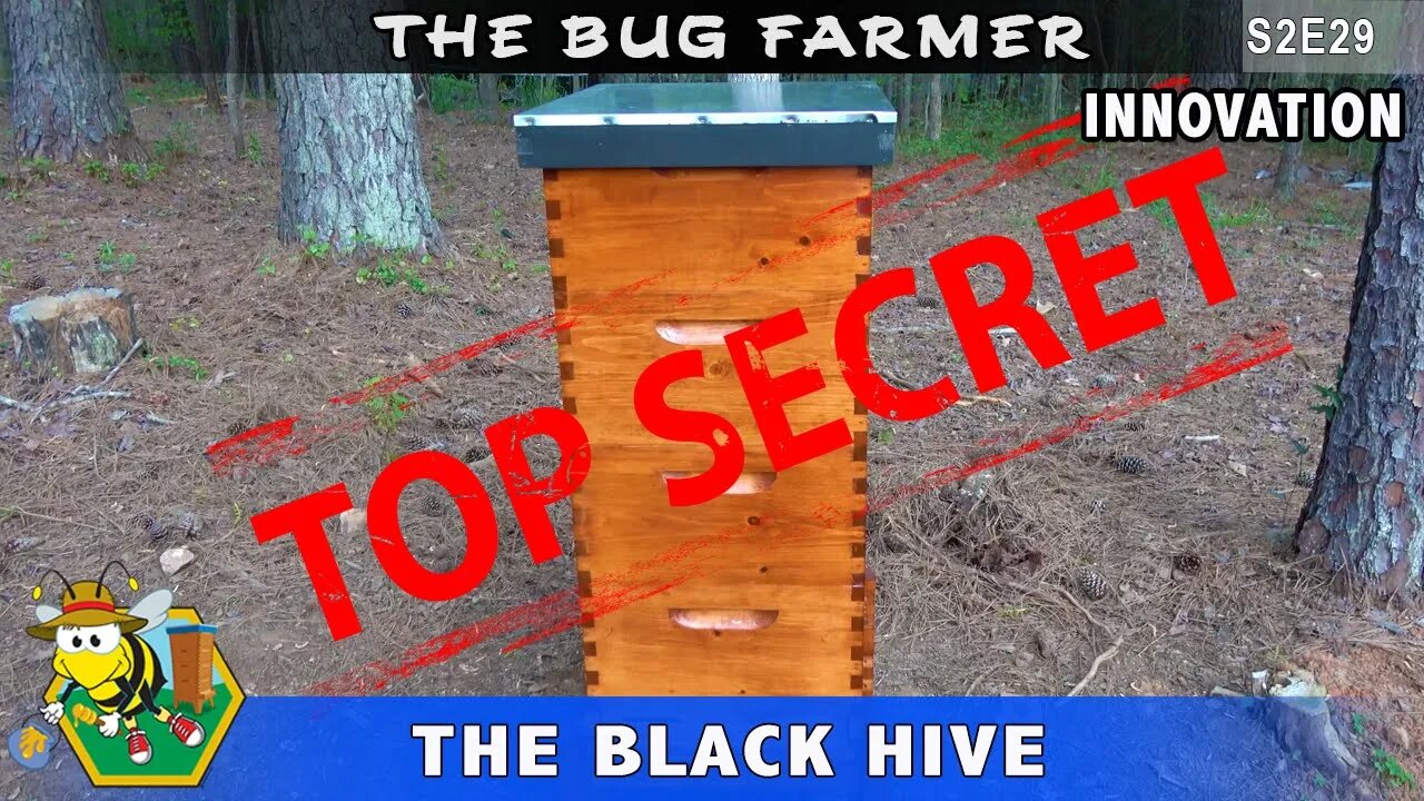 Hidden Compartment Beehive Tool Cabinet - Black hive with hidden features and secret compartment.