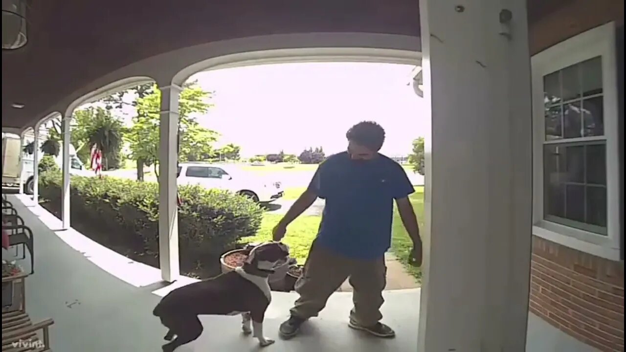 This Guy wasn't expecting that #dog