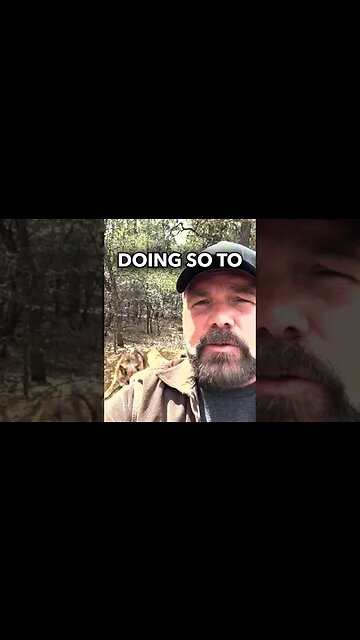 Meet my transgender cat | Pastor Mark Driscoll