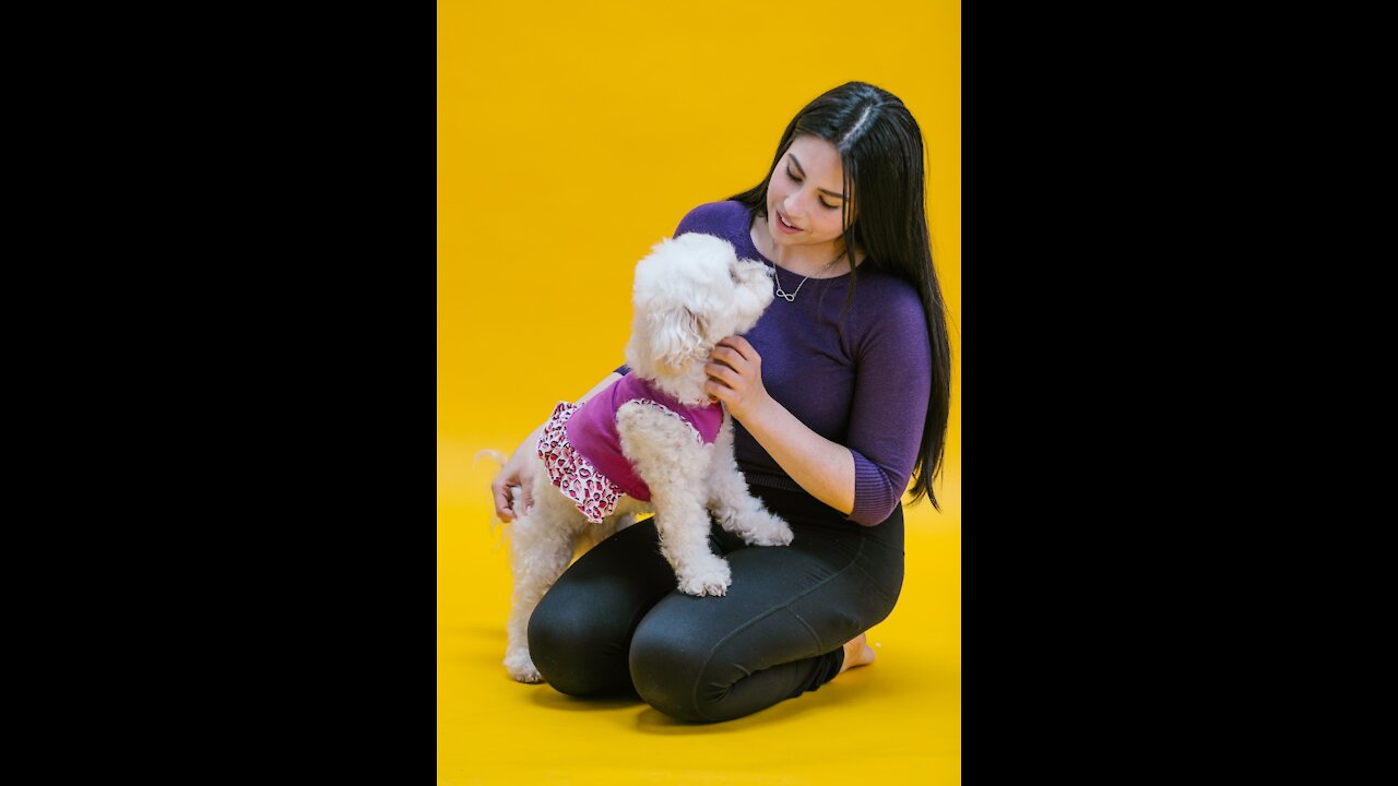 Cute little dog good behavior Training !!viral video