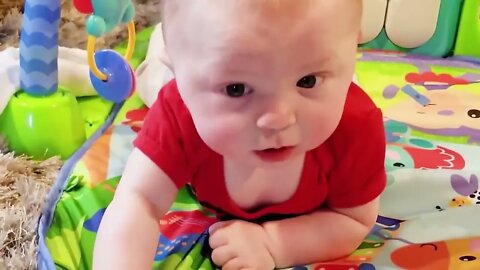 funny baby and animals video