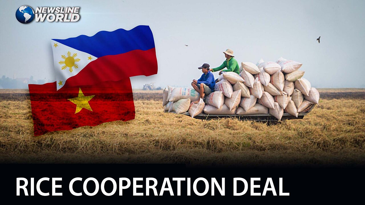 Philippines to import rice from Vietnam for five years