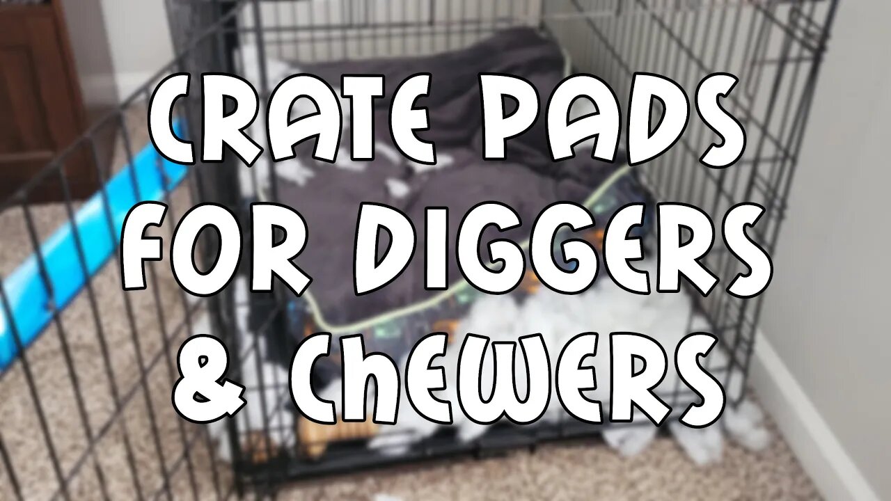 Crate Pads For Dogs That Dig, Chew & Destroy Dog Beds - Primo Pads - Gorilla Dog Beds