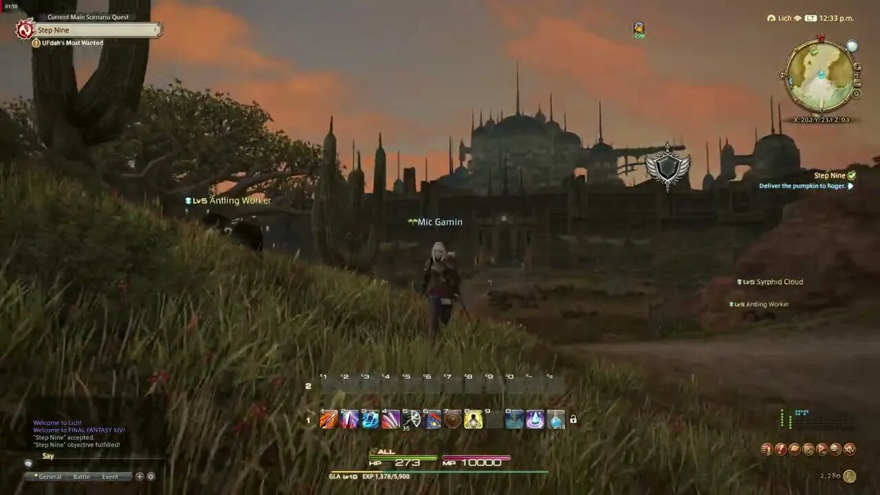 Final Fantasy XIV Online Step Nine