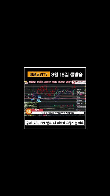 스퀴징이 뭐지? 숏스퀴징 롱스퀴징 1분컷|비트코인 실시간 방송 코인전망 투자전략 차트분석|쩔코TV #shorts #쇼츠