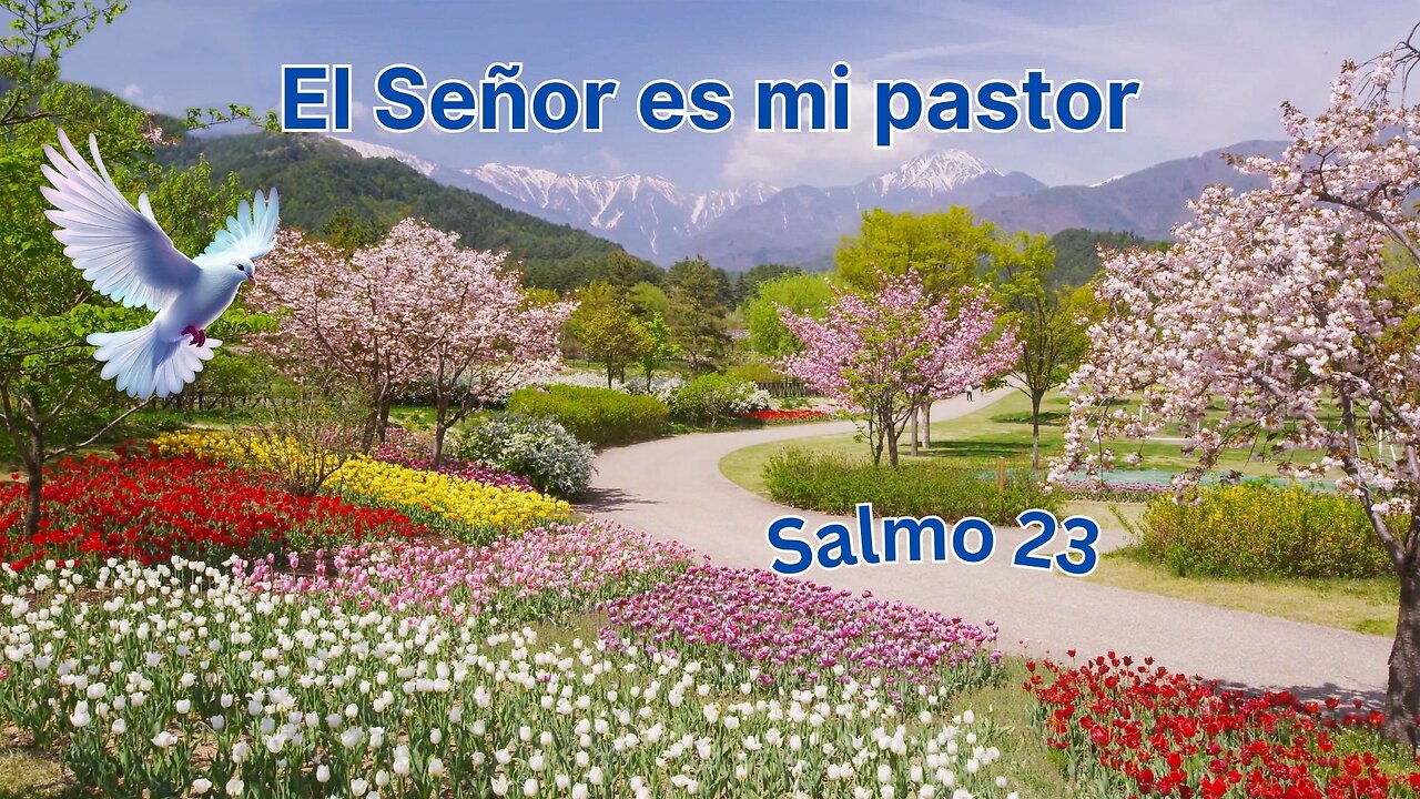 No Temas, El Señor esta con nosotros, El es nuestro pastor