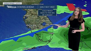 South Florida Friday afternoon forecast (4/17/20)