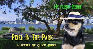 Pixel In The Park...My friend Pierre'