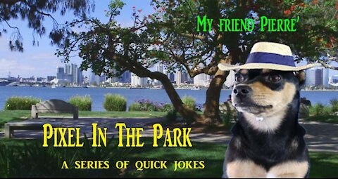 Pixel In The Park...My friend Pierre'