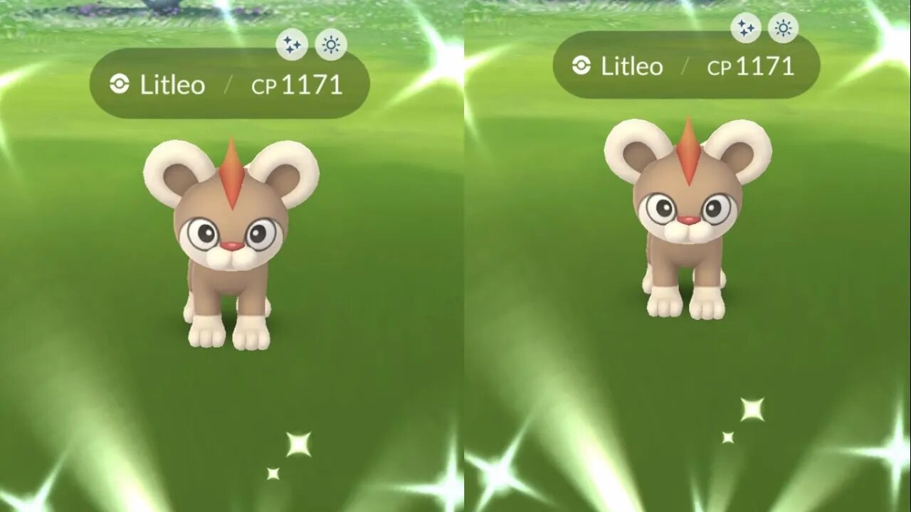 My Reaction to Shiny Litleo