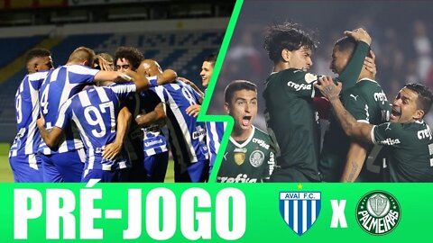 PRÉ-JOGO AVAI X PALMEIRAS AO VIVO- #PALMEIRAS #PAULOMASSINI