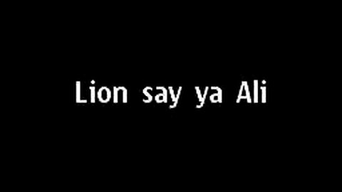 lion saying ya ali madad