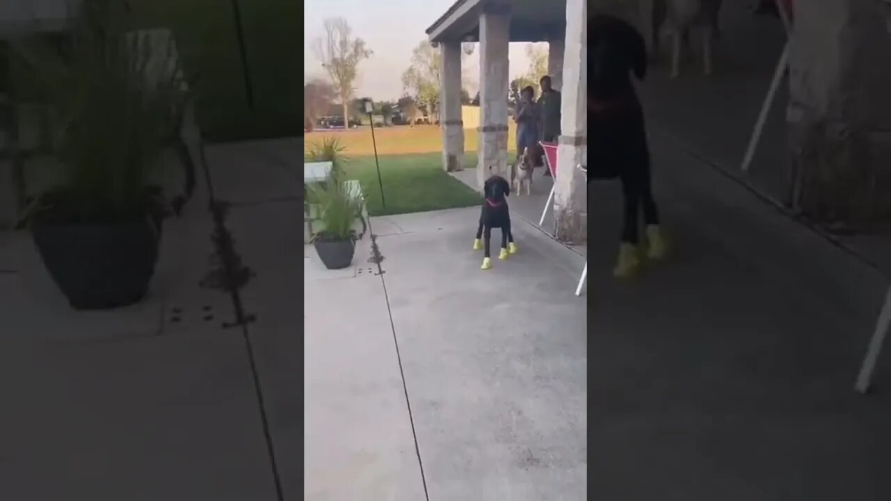 How to protect your Feet Chakra from .....,#short