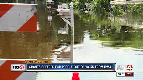 Out of work because of Irma? Here's how to get disaster unemployment assistance