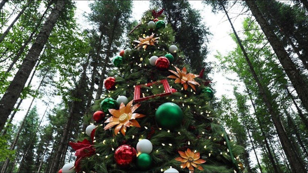 Woodooliparc - Pas de magie de Noël cette année