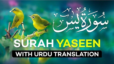 Holy Quran Surah Yaseen with urdu Translation