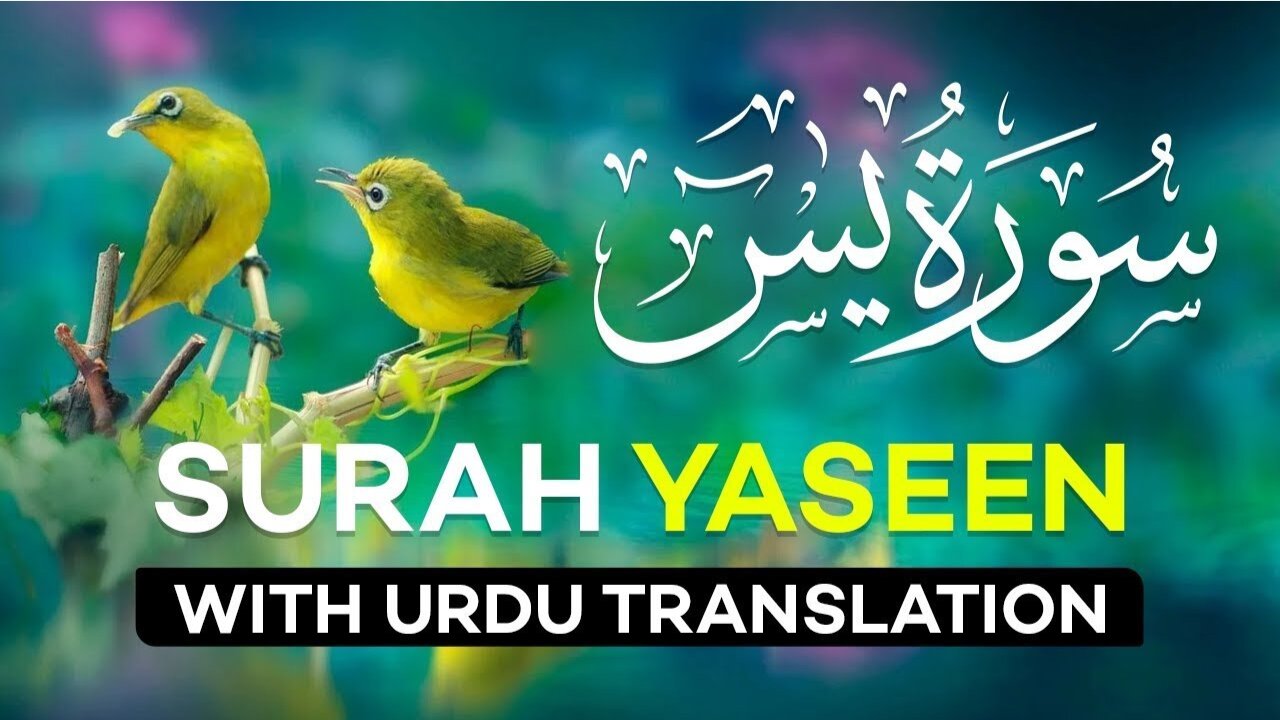 Holy Quran Surah Yaseen with urdu Translation