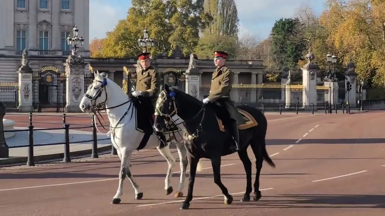 South African state visit military horses #buckinghampalace