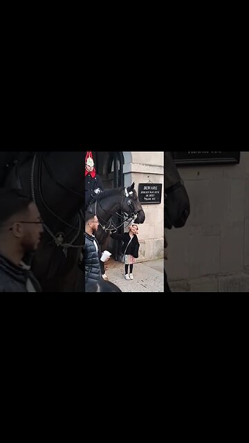 Get off the reins the guard shouts #thekingsguard