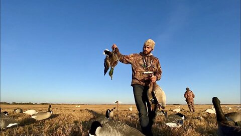 Dry Field Duck Hunting in Western Manitoba, Canada