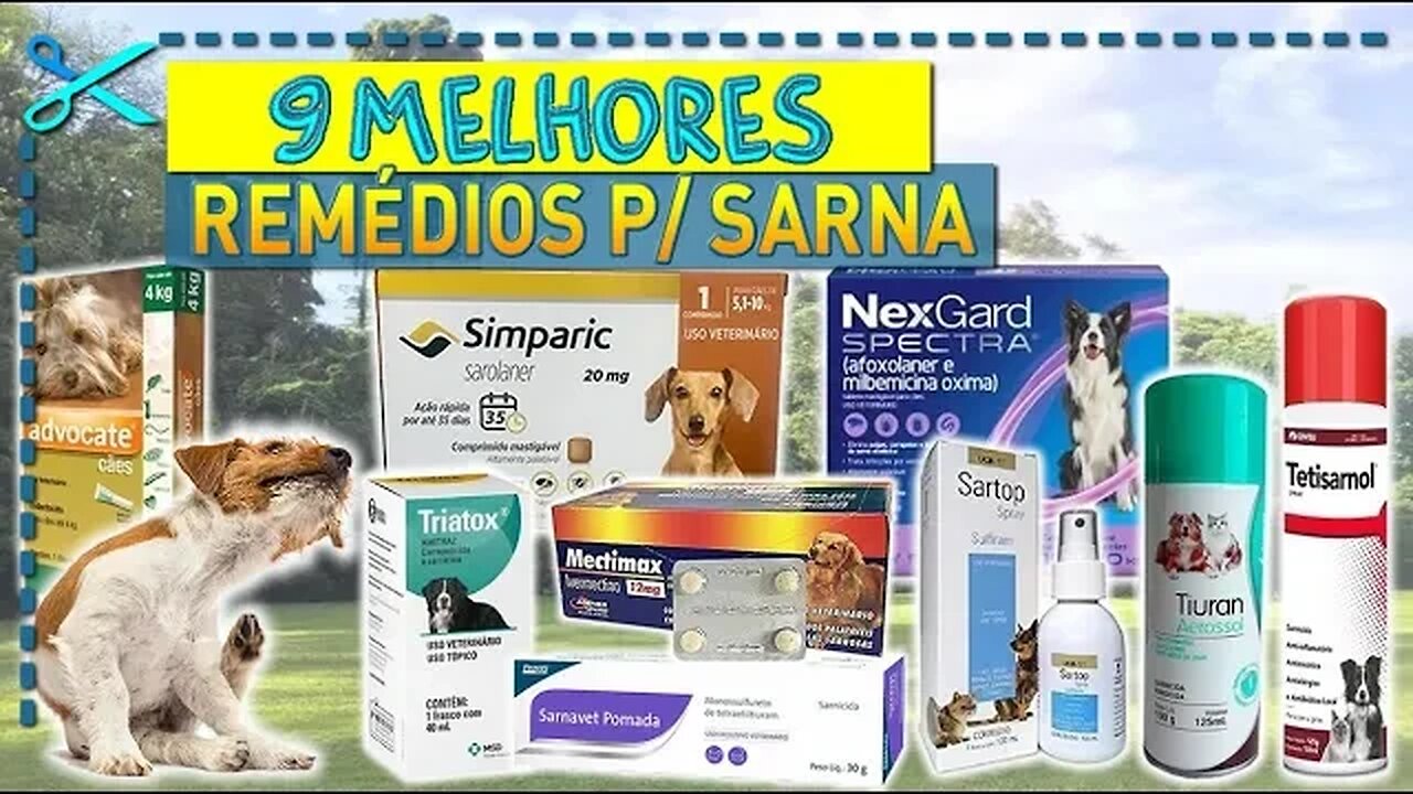 🏆 9 Melhores Remédios para Sarna de Cachorro