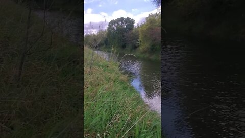 relaxing by the river.