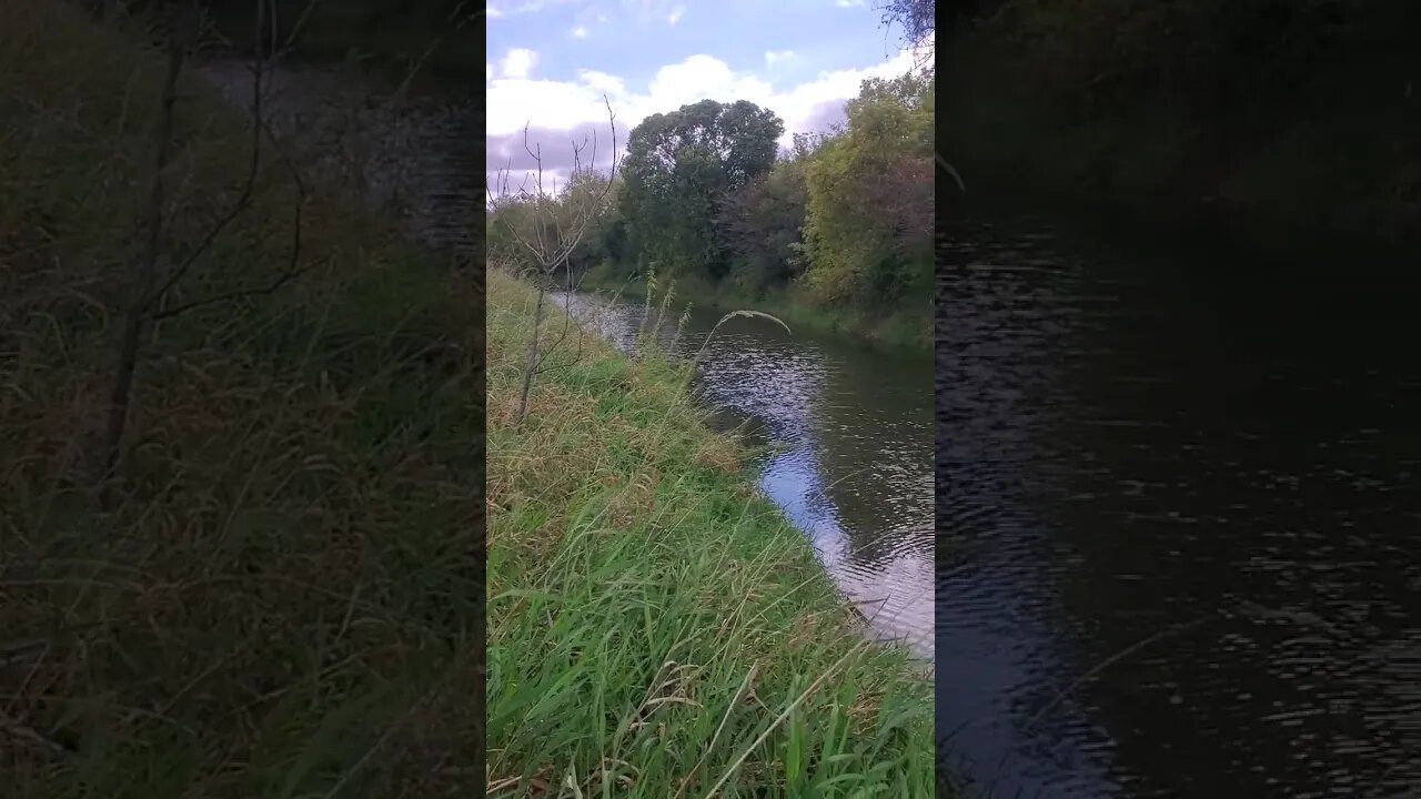 relaxing by the river.
