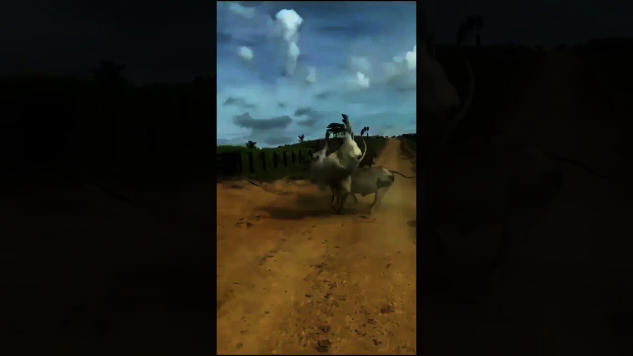 24 de novembro de 2021