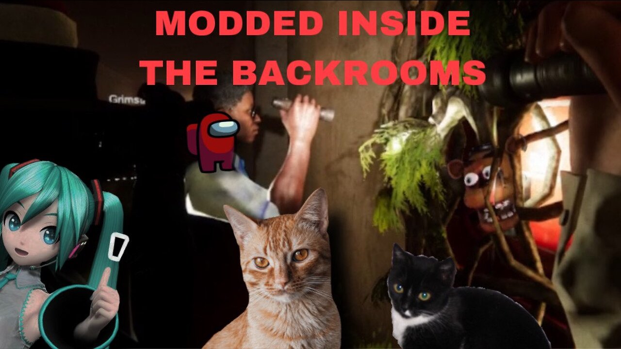 modded inside the backrooms is what youre looking for right?