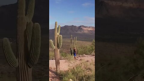 The Journey Up | S2SS2 Perspective 4-2-22 #get2steppin #arizonahiking #hikingviews