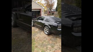 Quick Mustang Idle Video #Shorts