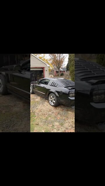 Quick Mustang Idle Video #Shorts