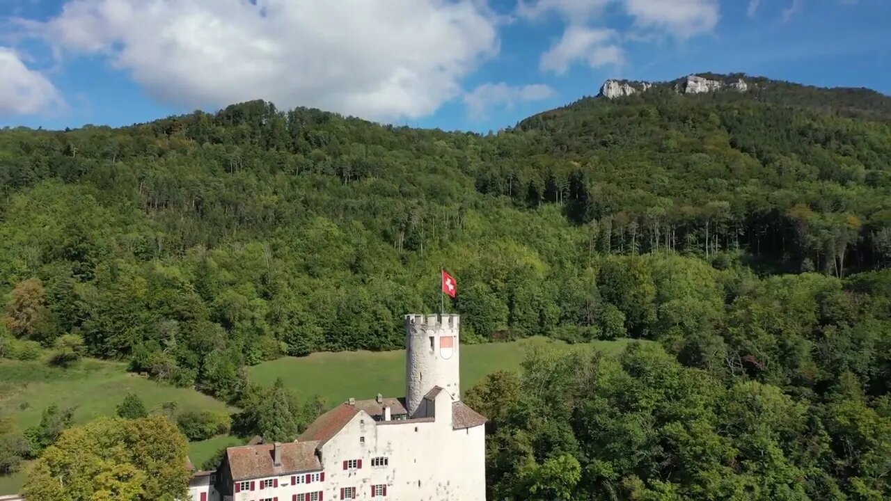 The Building is in the Forests of Switzerland_The City of Nature_Switzerland