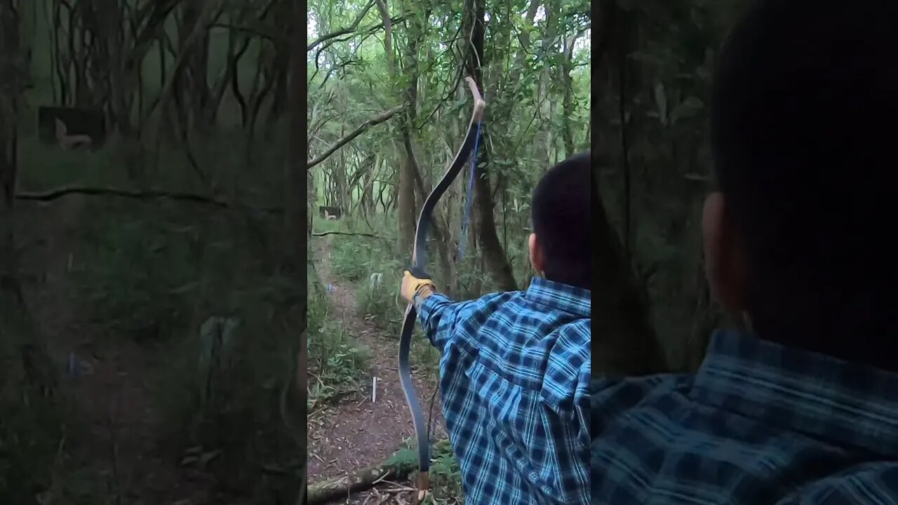 80LBS Paragon Raider Bow Arrow Too Fast To See #archery