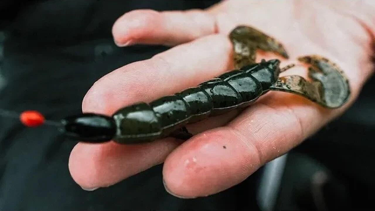 Let's Talk Pre-Spawn Bass Fishing - Special guest Bethany Rudd