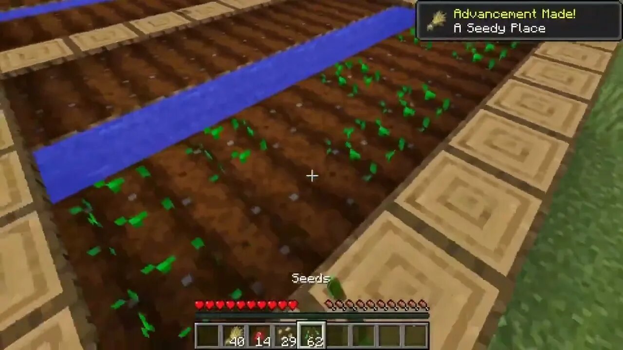 Minecraft HOW to playP20