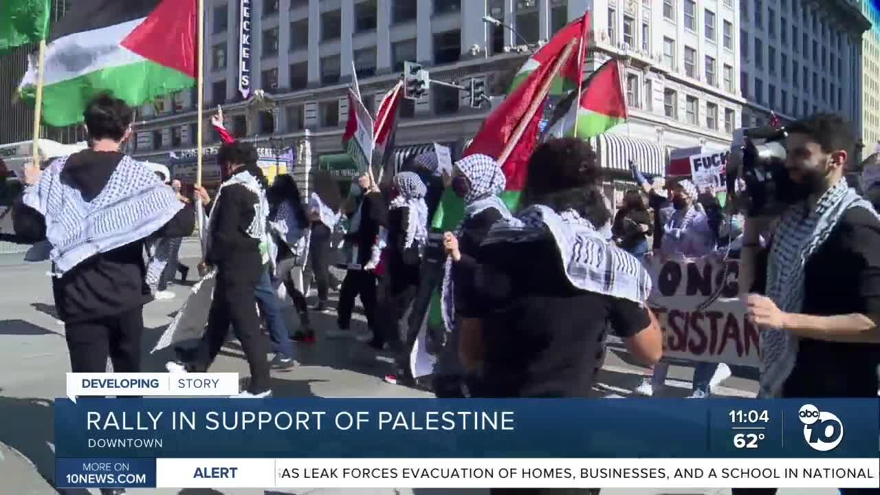 Rally in support of Palestine in Downtown San Diego