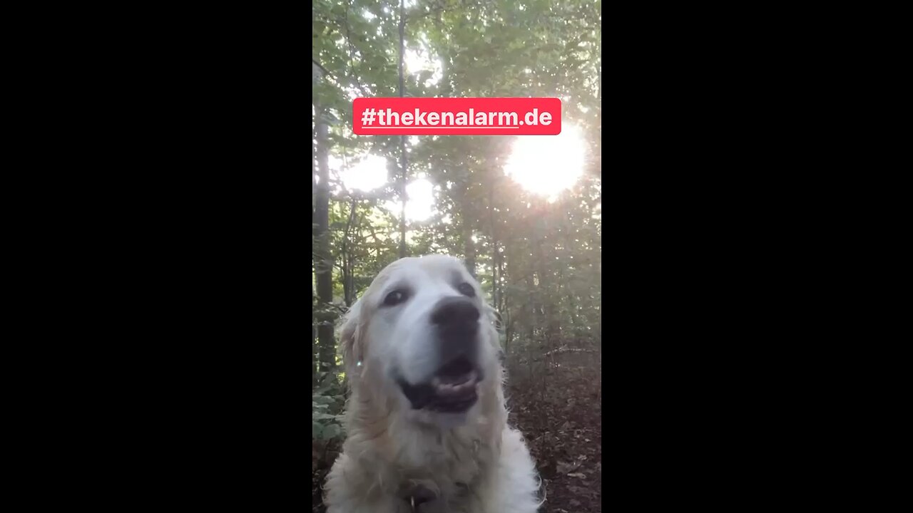 BARE FREIHEIT