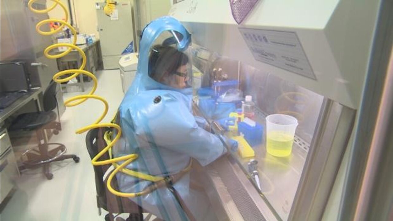 Winnipeg Scientist at Level 4 Lab let go by Public Health Canada