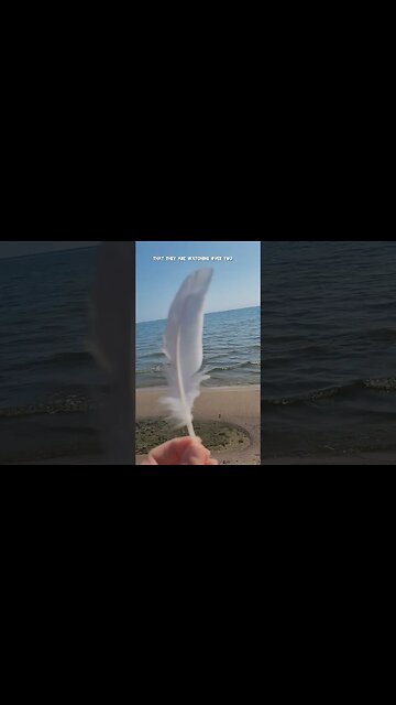 Signs of devine quidance . A White Feather Thank Your #ancestors for watching over you #shorts