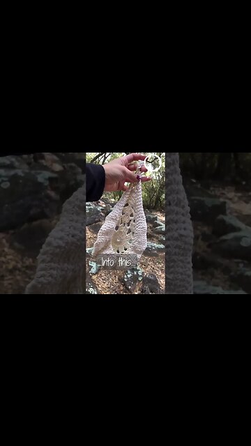 DIY Crochet Plant Holder: Stunning White Circle Pattern with Dollar Tree Yarn - Click to Watch!