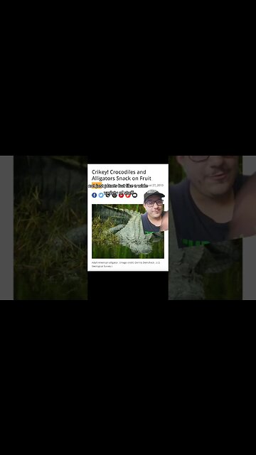 Alligators eat whatever they want... including fruit