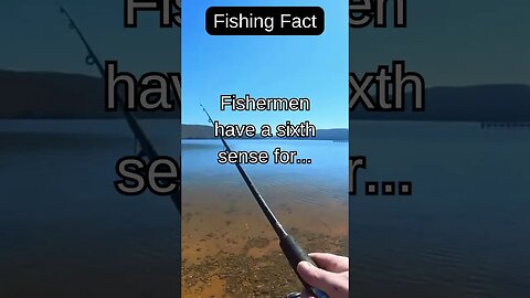 Fishing Facts #shorts #fishing #fishingfanatics