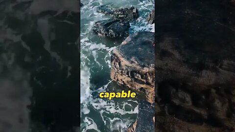 #motivation #viral @A2Motivation @ZPMotivation