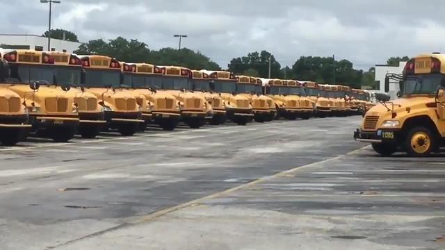 Pinellas County hiring school bus drivers | Digital Short