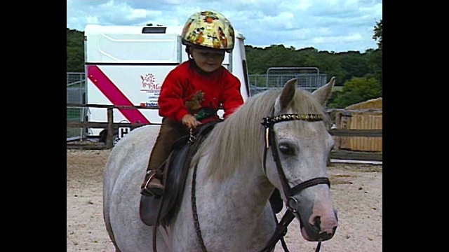 Two-Year-Old Show Jumper